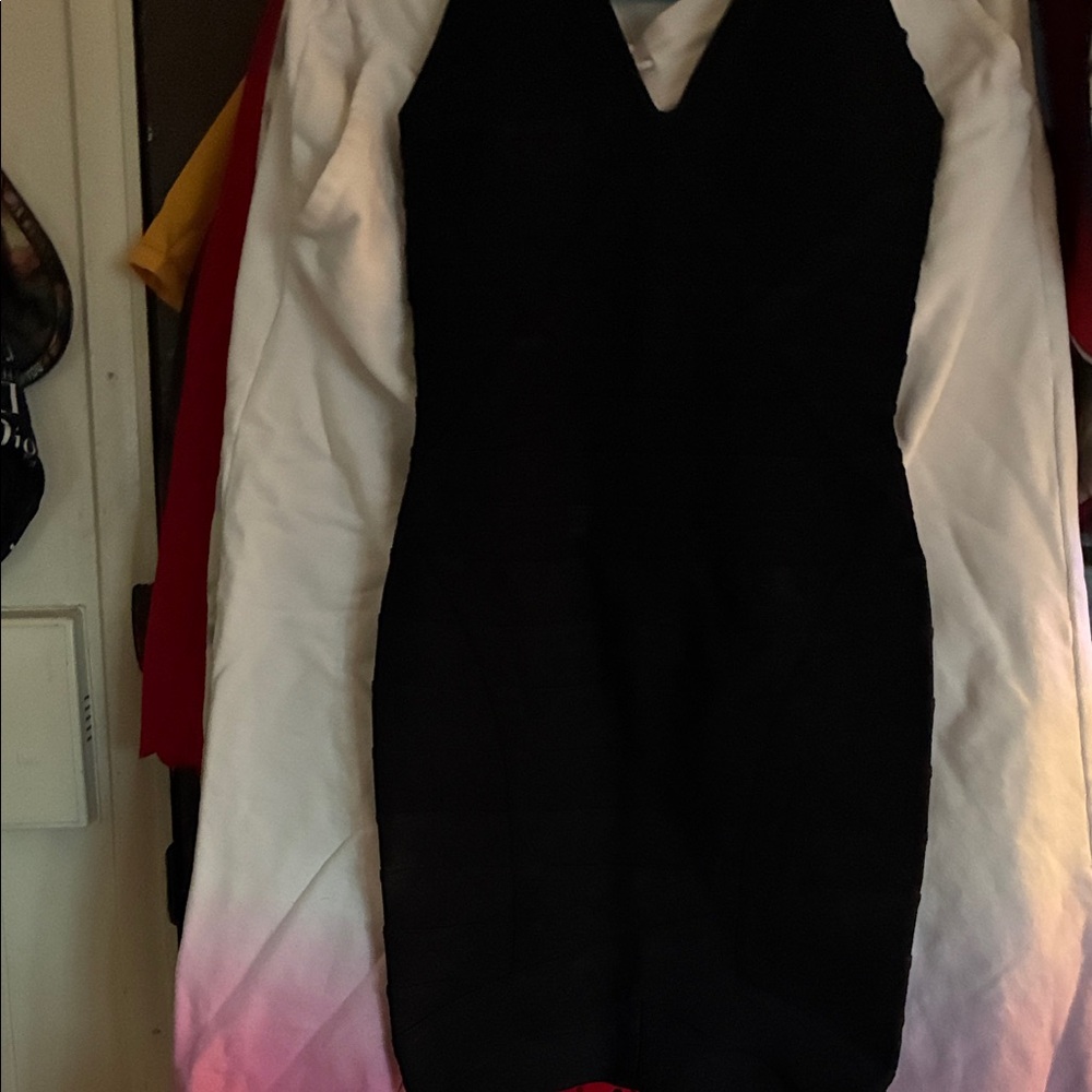 Not Bebe!Black and Pink Ombre Long Sleeve Dress